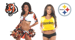 Cheer for the AFC North!